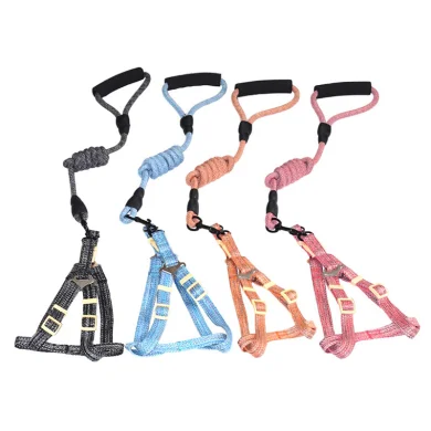 Pet Collar and Leash